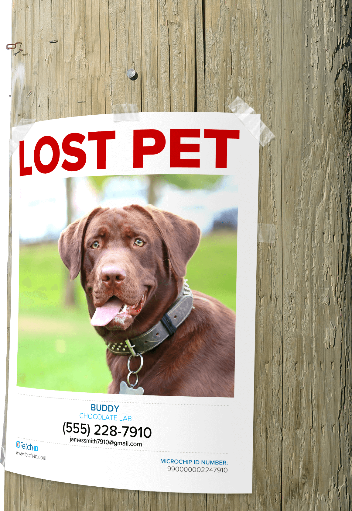 Lost Pet Poster